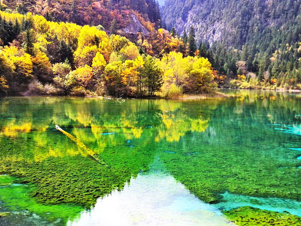 九寨溝景區(qū) 九寨溝景區(qū).jpg