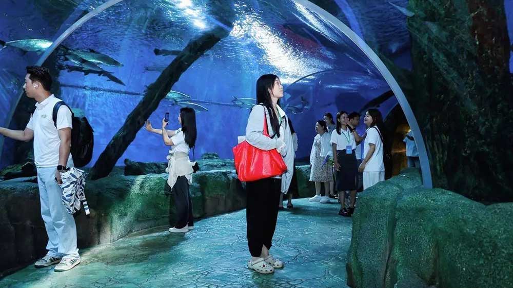2025-百名媒體海南（陵水）旅游推介活動游客觀賞.jpg